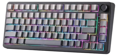 B75 RGB mechanische Tastatur, kabelgebunden, 75% Hot-Swap-Gaming-Tastatur mit Knopfdichtung, benutzerdefinierte RGB-Tastatur mit Hintergrundbeleuchtung, kompatibel mit(Gradient Black)