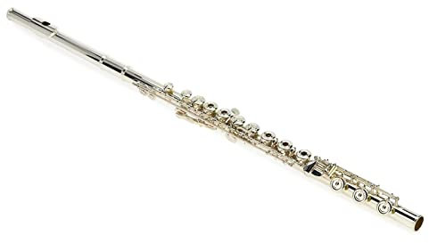 Flöteninstrument Korpus Aus Sterlingsilber Fußstück Kopfstück Lippenplatte Flöte Versilberte Klappen Inline-Tastensystem Mit Etui Professionelles Querflöten