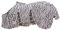 Kantrie | Fliegendecke für Pferde - Zebra-Muster - 75cm
