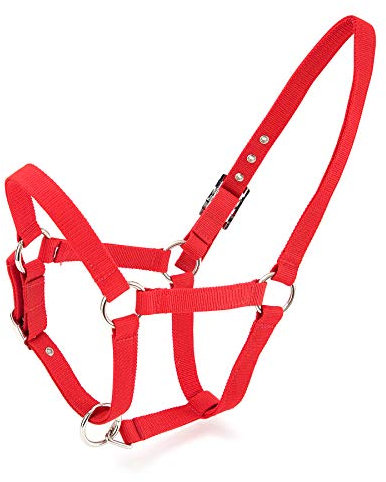 Merauno® Halterset Trendy Nylon Pferd Halfter Silber Verstellbare Schnalle im Nacken und in der Nase Hochwertiges Polyesterband für Pony Vollblut Warmblut (Cob, Rot)