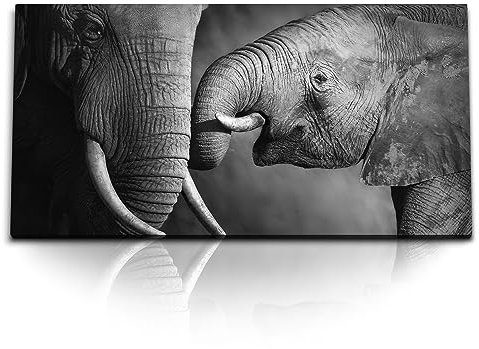 Paul Sinus Kunstdruck Bilder 120x60cm Elefanten Mutter mit Kind Tierfotografie Schwarz Weiß