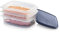 Tupperware Stapelbares Familien-Frischhaltedosen-Set, spülmaschinenfest und BPA-frei (3 Behälter, 1 Gitter, 1 Deckel)