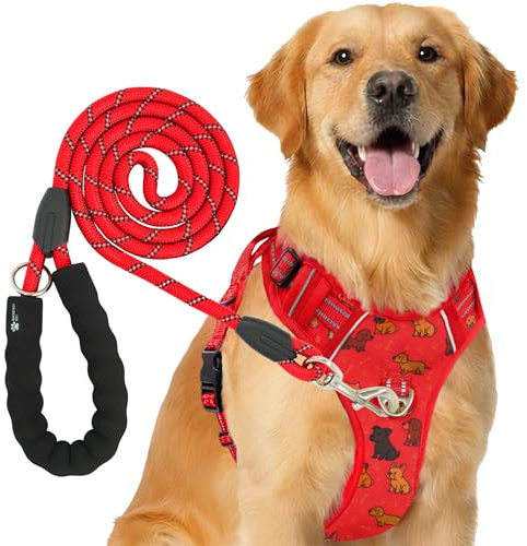 Reichstadt Pets Hundegeschirr mit Leine Set 25RSP083-4 Puppy Red L