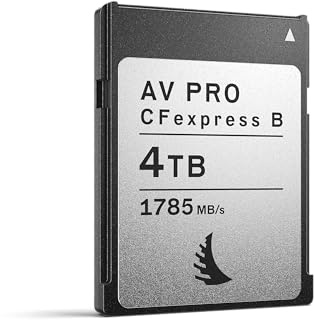 Angelbird AV PRO CFexpress MK2 Type B 4 TB