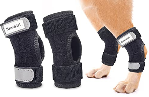 Hunde-Beinbandagen für Hinterbeine, Sprunggelenkbandage für Hinterbeine, mit Metallstreifen und reflektierenden Sicherheitsgurten für Kurze Beine, Gelenkverziehungen, Unterstützung bei Hinterbeinen