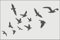 Série 1 de pochoirs oiseaux pour peinture murale grand format, modèle de décoration en plastique réutilisable (oiseaux-5, XL)