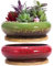 ARTKETTY Macetas para suculentas, 2 macetas Grandes para suculentas con Drenaje, macetas de bonsái Poco Profundas con bandejas, macetas de cerámica para Plantas de Cactus de Interior y Exterior