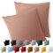 Blumtal Kissenbezug 40 x 40, 2 Stück - Oeko-TEX zert. Kissenbezüge 100% Mikrofaser in extra weich & waschmaschinenfest - Bezug Kissen 40x40 Rosa