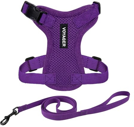Voyager Step-in Lock Katzengeschirr und reflektierende Katzenleine mit Neoprengriff by Best Pet Supplies - Unterstützt kleine, mittelgroße und große Katzenrassen, Lila, size S - 1,5 m
