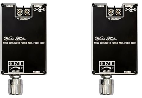 Wdesrgt 2X Mono 100W Bluetooth Audio Amplifier Board with Box Function TPA3116D2 BT5.1 Stereo Audio Module DC7-24V -1001B