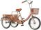 QZYGWCS Trekking Bike in 20 Zoll, Citybike,Älteres Pedal-Dreirad-Fahrrad-Erwachsenen-Freizeit-Dreirad-Roller (Gold)