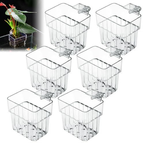 BORDEAG Portapiante Per Acquario,6 Pz Supporto Per Piante D'acquario Con Buchi,Porta Piante per Acquario,Appendere Pianta D'acquario,Supporto Per Piante Da Acquario Per Acquario Accessori