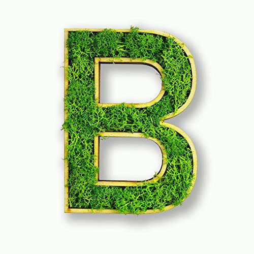 Moosly® Moosbild - B - mit Rahmen aus Holz, Moos Deko Buchstaben Zeichen Symbol Zahl Holzbuchstabe mit echtem Islandmoos Wandtattoo Wandsticker Wandbild selbstklebend Wohnzimmer (103 B)