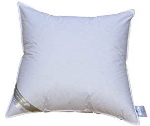 Betten Hofmann Hofmann Sibiria Exclusiv Kopfkissen Federkissen 60x60 cm sibirische Wildgans, 670g Füllgewicht, strapazierfähig, waschbar, gut gefüllt, Naturprodukt