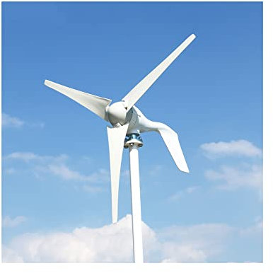 XINRISHENG Generador de turbinas eólicas, 400W 600W 800W 12V 24V 48V 6 Cuchillas Molinos de Viento Verticales Energía Libre Alternativo Accesorios para el hogar,800w,48v