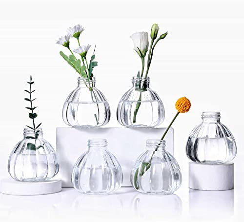 Eidoct Glass Bud Vases Set of 6, Small Bottles for Floral Arrangements, Rustic Decorative Vases for Centerpiece Home Living Room Office Decoration or Wedding Event (Clear)