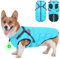 HezzLuv Hundemantel Winter, Hundemantel Wasserdicht, Warme Hundejacke mit Geschirr