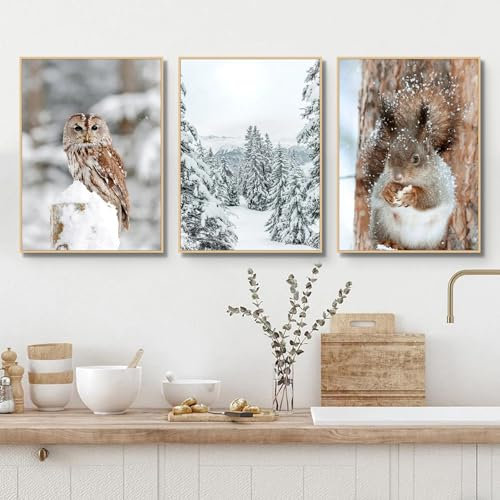 champracer 3er Bilder Mit Wintermotiv Poster, Moderne Winter Schnee-Szene Wandbilder Set, Premium Leinwand Bilder Wohnzimmer, Tannenwald, Eichhörnchen, Eulen Ohne Rahmen Kunstdruck (50x70 cm)