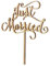ROSENICE Just Married Tortendekoration Hochzeitstorte Topper Dekoration