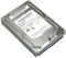 1 TB SATA Samsung Spinpoint F1 HD103SJ
