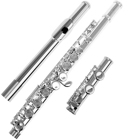 Querflöte Instrument 16 Löcher, Geschlossene Löcher, C-Klappe, Kupfernickel-Querflöte Mit Versetztem G Und Geteilter E-Klappe