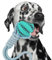 Generisch LoyalPet Ball mit Seil Hundespielzeug aus Naturkautschuk – Umweltfreundlich – Mit Baumwollseil für Interaktiven Spielspaß und Zahnpflege – Ideal für Training und Bindungsstärkung (Blau)