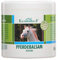 Kräuterhof® Pferdebalsam Massage Gel Balsam Hautcreme Kühlend, 500 ml