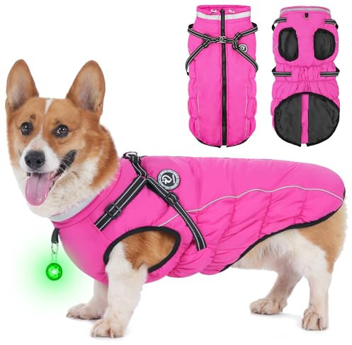HezzLuv Hundemantel Winter, Hundemantel Wasserdicht, Warme Hundejacke mit Geschirr