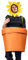 Pot Costume - Adult Fancy Disc, Unisex Flower Pot Outfit | Garden Novelty Adjustable Stracts Costume, Comfortable Polyester Outfits For Party