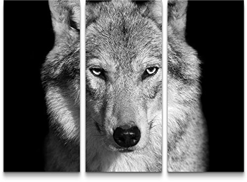 Paul Sinus Art Leinwandbilder | Bilder Leinwand 130x90cm Portrait – Wolf schwarz, weiß