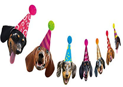 Silvima Dackel-Geburtstags-Girlande, lustige Wiener-Hunde-Party-Dekoration, Hundegesichts-Wimpelkette aus Karton, gerade, Multicolored