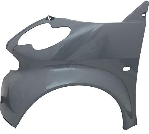 Diederichs Kotflügel Fender vorne links für Smart Bj. 01.04-12.05 Fortwo Coupe, Grau, Metall, Auto