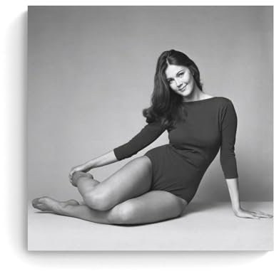 ZBSXLBNG Lynda Carter 1970 Poster Dekorative Malerei Leinwand Wandkunst Wohnzimmer Poster Schlafzimmer Malerei 20x20inch(50x50cm)