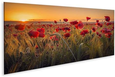 islandburner Leinwandbild Mohn Weizenfeld Schöne Mohn Weizenfeld Sonnenaufgang Tautropfen - Leinwand 120x40cm - Panorama