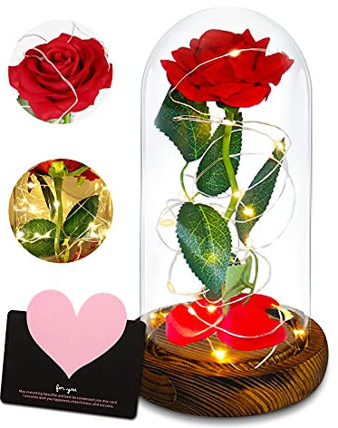 La Bella e La Bestia Rosa,La Bella e La Bestia Rose,Rosa Bella e la Bestia,Kit di Rose,con Luci LED Regali Magici Decorazioni per Festa della Mamma della s.Valentino Anniversario di Matrimonio Vacanza