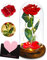 La Bella e La Bestia Rosa,La Bella e La Bestia Rose,Rosa Bella e la Bestia,Kit di Rose,con Luci LED Regali Magici Decorazioni per Festa della Mamma della s.Valentino Anniversario di Matrimonio Vacanza