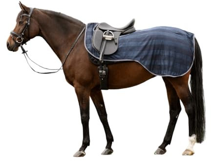 Waldhausen Fliegen-Ausreitdecke Economic, Nachtblau, Pony