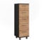 Vicco Midischrank Ilias, Anthrazit/Goldkraft Eiche, 30.2 x 95 cm