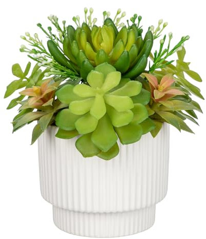 Hollyone Plantas suculentas artificiales en maceta, suculentas falsas surtidas para decoración de interiores, en maceta de cerámica blanca para decoración del hogar, oficina, estante, escritorio, sala