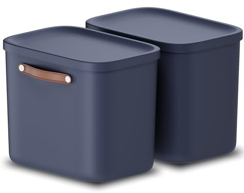 Rotho Maloja 2er-Set Aufbewahrungsboxen mit Deckel 25l | Elegante Box mit Griff | sicher verschließbar | stapelbar & modular | pflegeleicht | blau