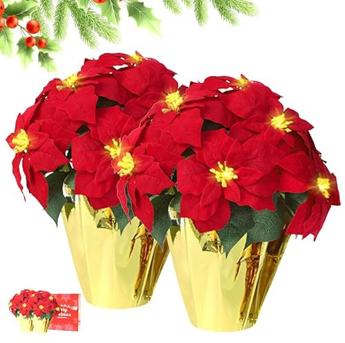 HOMESEASONS Confezione da 2 grandi piante di stella di Natale artificiali per esterni, pre-illuminate, con luci a LED, in vaso, con luci, per uso esterno (rosso, 45,7 cm)