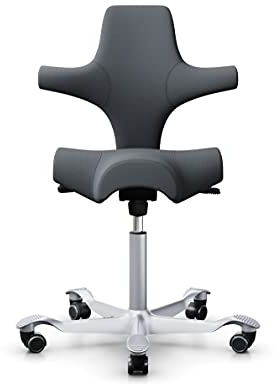 HAG Capisco 8106 Stoff Select Bürodrehstuhl - Standard Gasfeder 200 mm - Sitzhöhe 47-65,5 cm - weiche Rollen (Grey - SC60003, Silber)