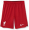 NIKE FC Liverpool, Unisex Socken, Saison 2022/23 Offizielle Heimtrikot