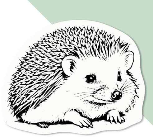 Azeeda 4 x Klein 50mm 'Sitzender Igel' Permanente Aufkleber (DW00117128)