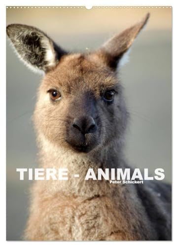 Tiere - Animals (Wandkalender 2026 DIN A2 hoch), CALVENDO Monatskalender: Tiere aus aller Welt wunderbar und hautnah fotografiert. (CALVENDO Tiere)