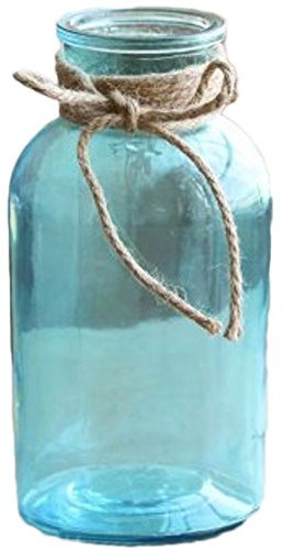 Chakil Vase Transparent Verre,Vase pour Plante Fleurs Décorations De Bureau à Domicile Size 10 * 18.7 * 5.5cm (Bleu)