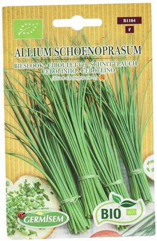 Germisem Bio Graines Ciboulette ALLIUM SCHOENOPRASUM