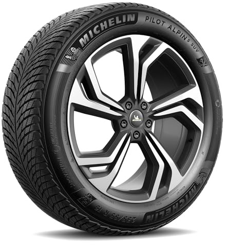 Reifen Winter Michelin Pilot Alpin 5 SUV 255/40 R21 102V XL