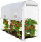 IDMarket - Serra per pomodori sollevabile 3 m² bianca 2 finestre con zanzariera e porta con cerniera