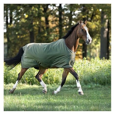Kavalkade Outdoor-Decke für Pferde Montreal 100g